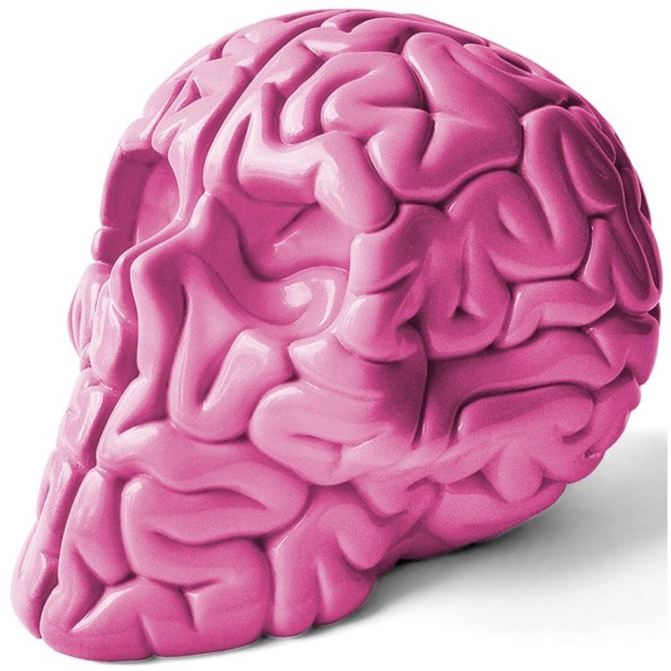 Gloss Nitro Pink Skullbrain by Emilio Garcia