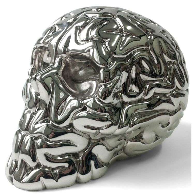Nickel Plated Skullbrain by Emilio Garcia