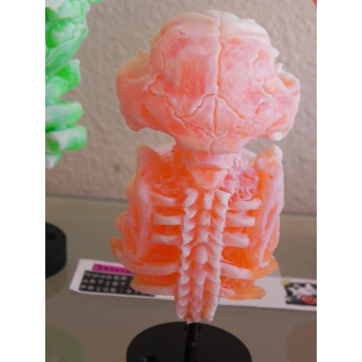 Misfortune Cat Skeleton - White/Orange