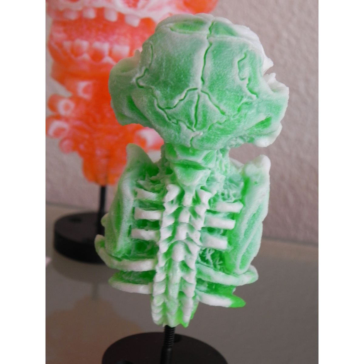 Misfortune Cat Skeleton - White/Green