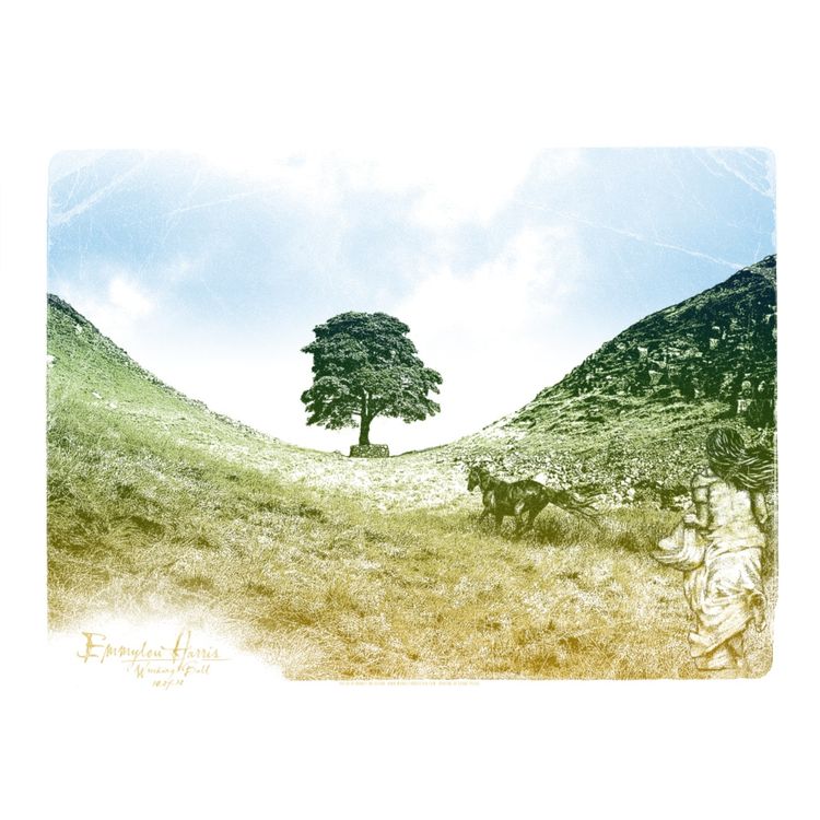 Emmylou Harris - Wrecking Ball 2012 by Monkey Ink Design
