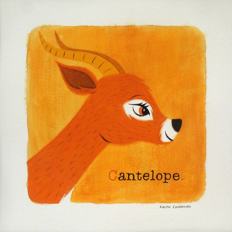 Cantelope by Ralph Cosentino