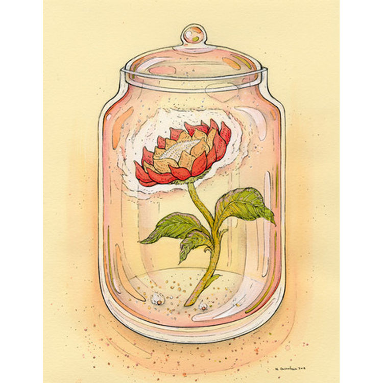 Fire Flower by Nicole Gustafsson