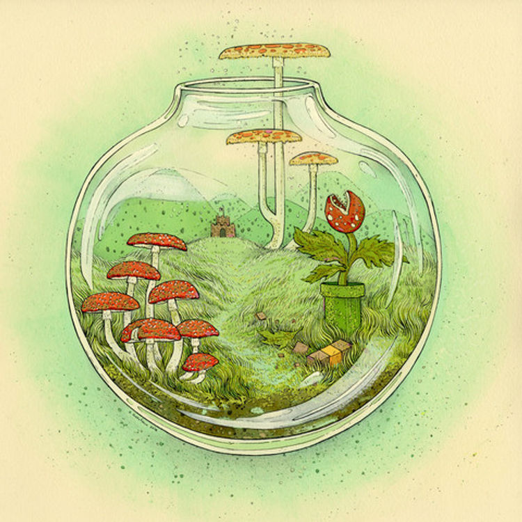 Flora of the Mushroom Kingdom by Nicole Gustafsson