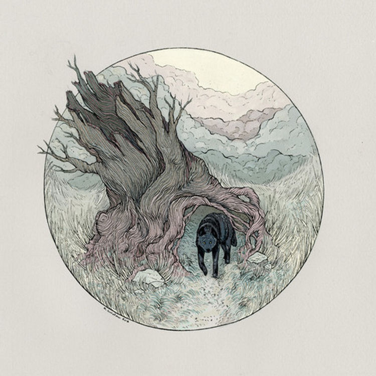 Nothing is Coming by Nicole Gustafsson