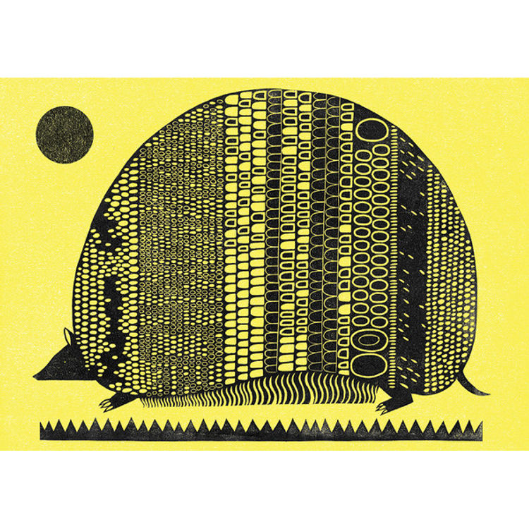 Armadillo by Jing Wei