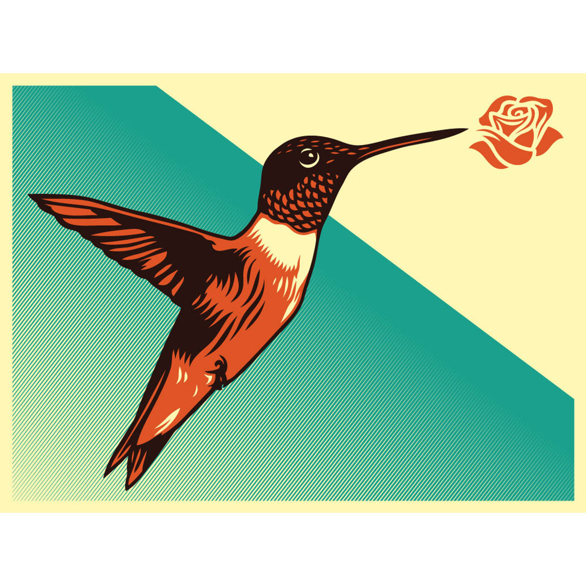 Dignity Colibri / Hummingbird