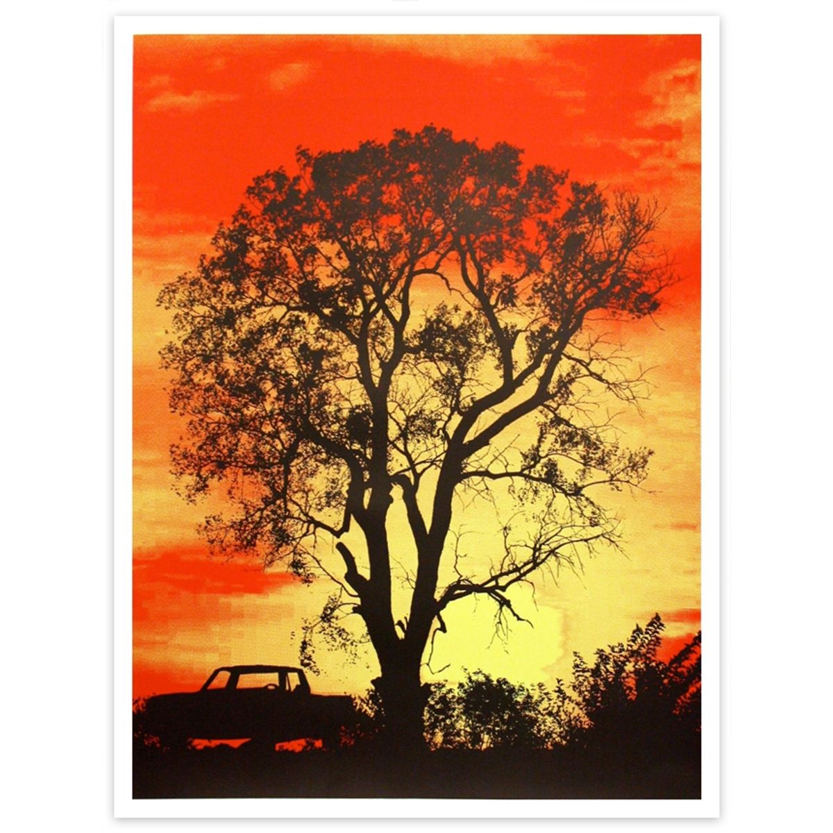 Southern Sunset