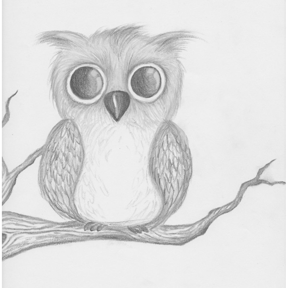 Wide Eyed and Waiting