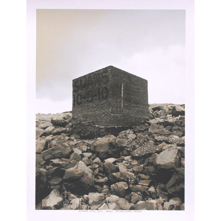 Swans -  Chicago, IL 2010 by Crosshair