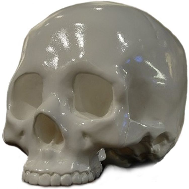 Genuine Fake Human - White by Shelterbank