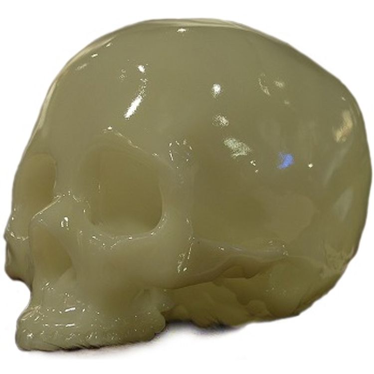 Genuine Fake Human - GID by Shelterbank