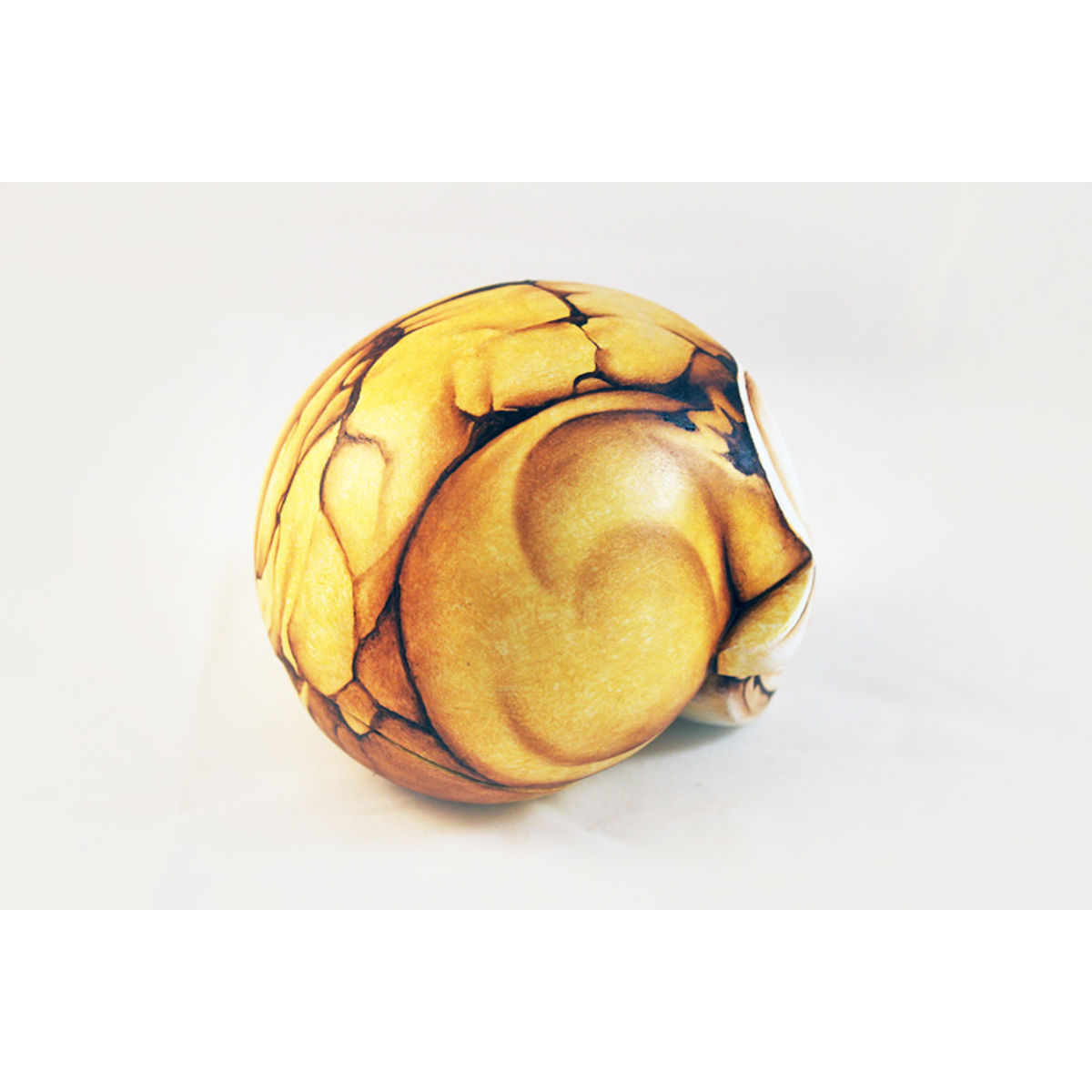 Soul Sucker Calaverita