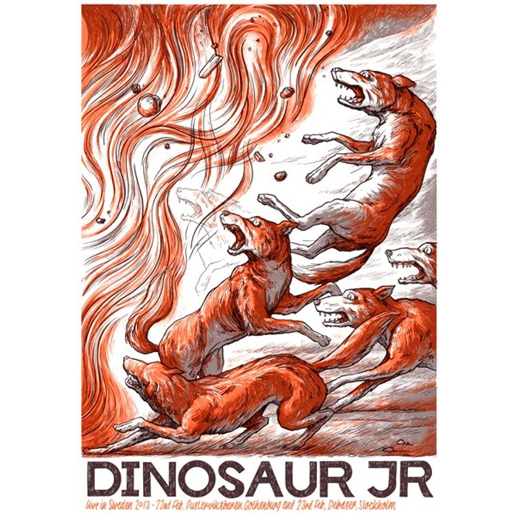 Dinosaur Jr – Sweden 2013 by Luke Drozd