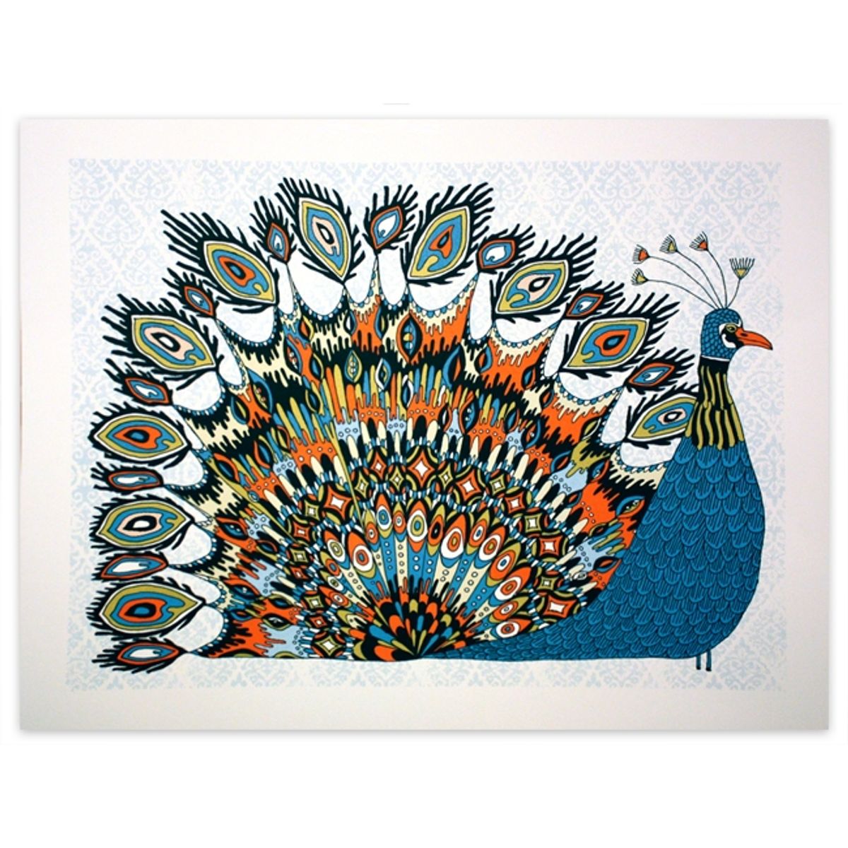 Fancy Peacock
