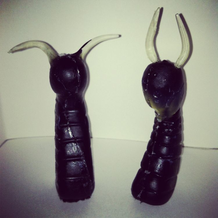 Grub bate by vinylcupcake