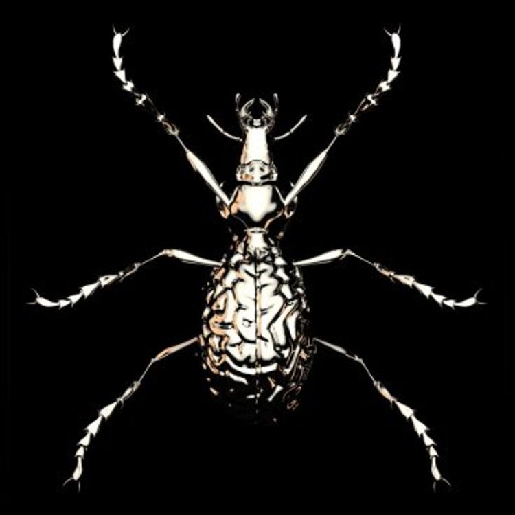 Ground Beetle by Tokyoplastic