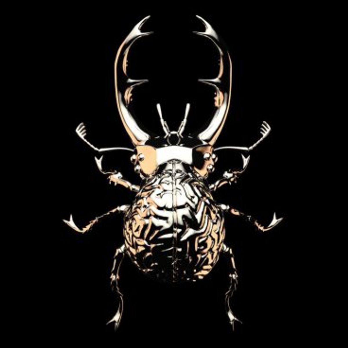 Stag Beetle