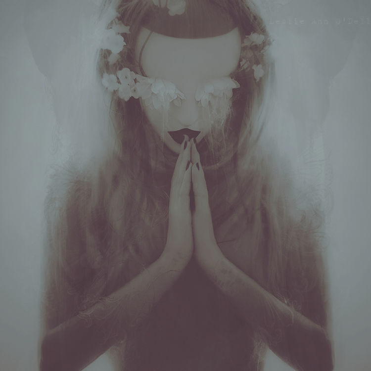 Ambiguity by Leslie Ann O'Dell