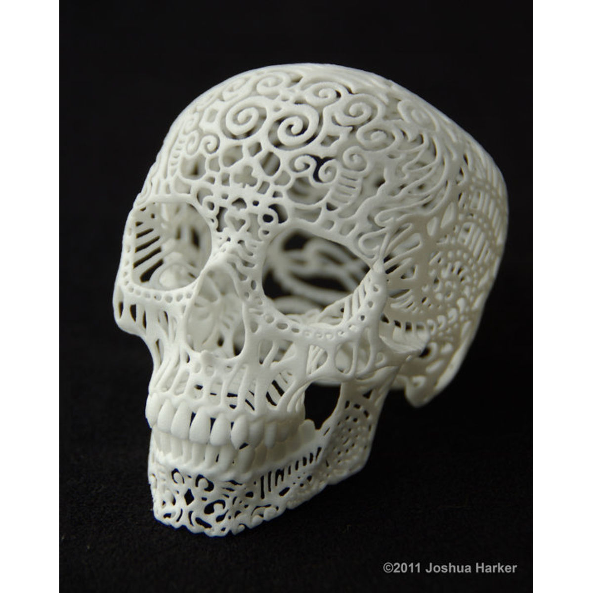 Crania Anatomica Filigre (small)