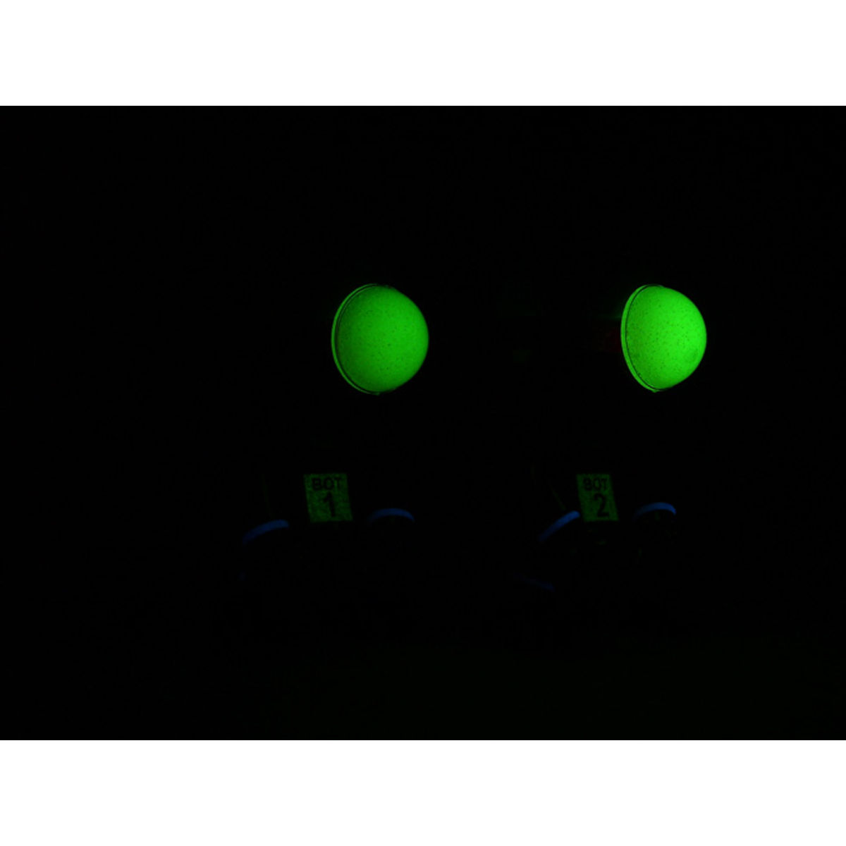Bot 1 and Bot 2