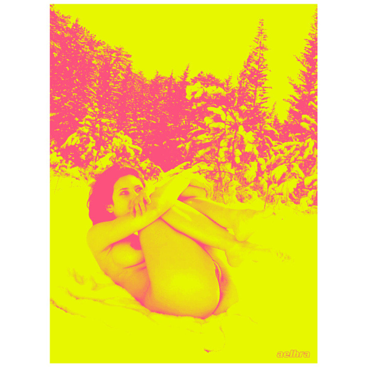 Winter Wonderland 2012 (Regular)