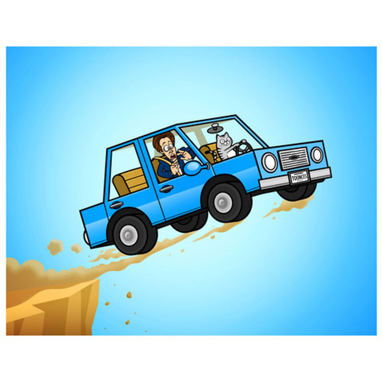The Driving Cat by Jon Defreest