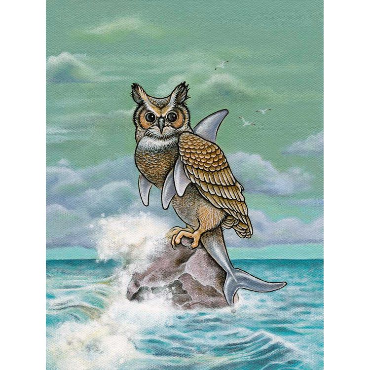 Shark Owl by Tara Krebs