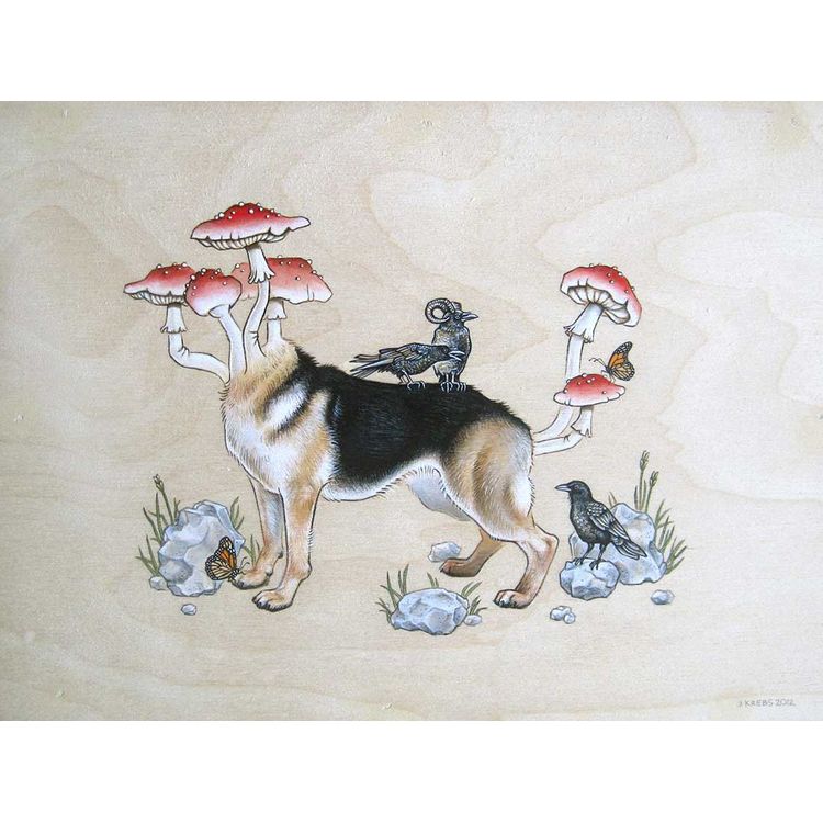 See Spot Run by Tara Krebs