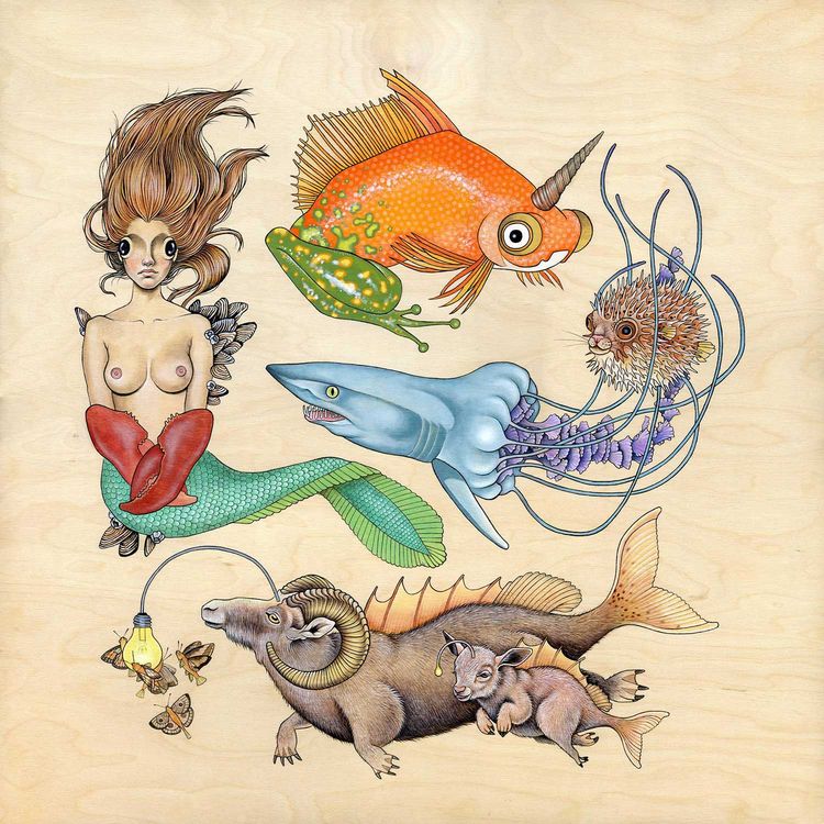 Here Fishy Fishy Fishy by Tara Krebs