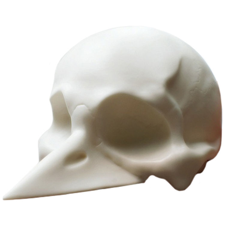 The End of the Man by Sergey Safonov