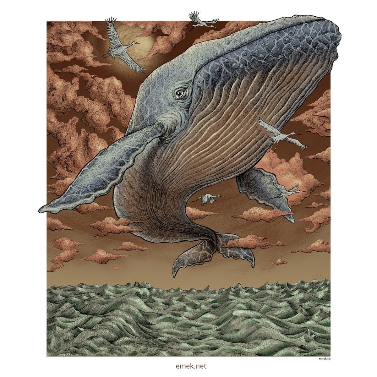 Whale