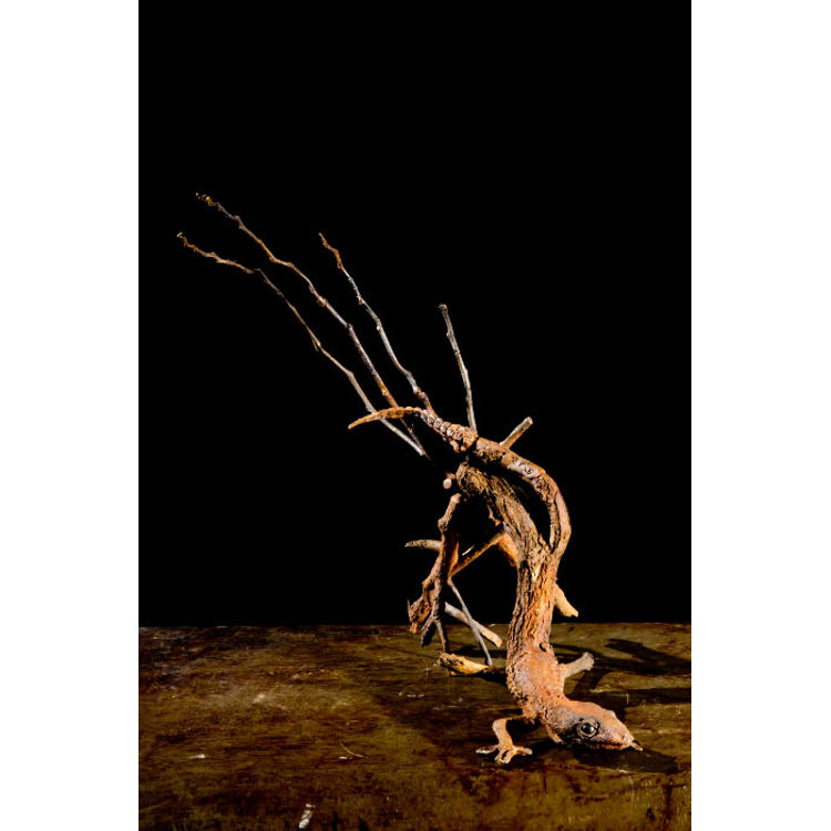 Morph by Stephan Webb