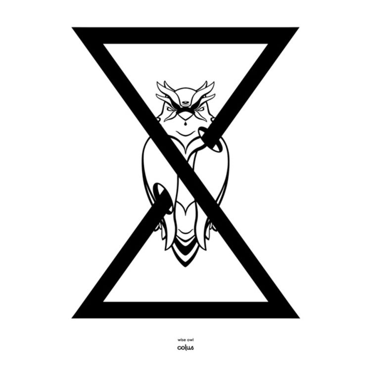 Wise Owl by Colus
