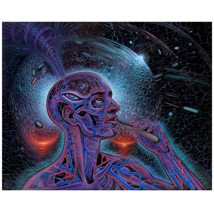 Bicycle Day by Alex Grey