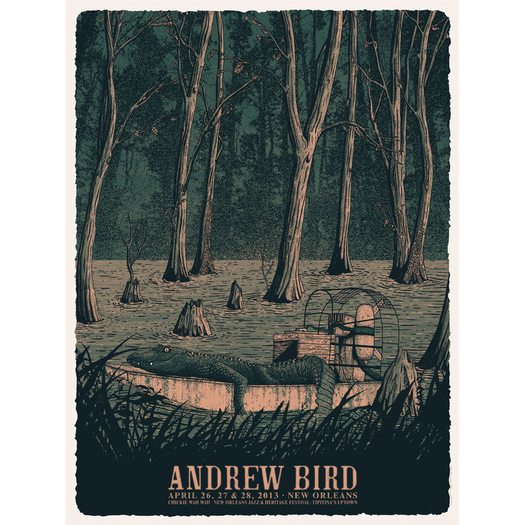 Andrew Bird - New Orleans LA, 2013 by Neal Williams