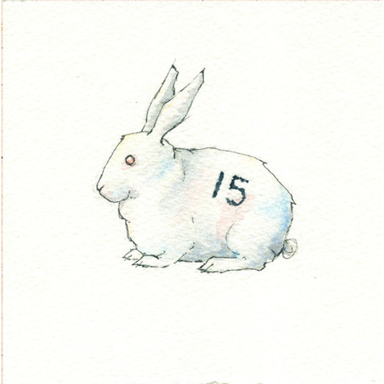 Dharma Rabbit #15 by Drew Falchetta