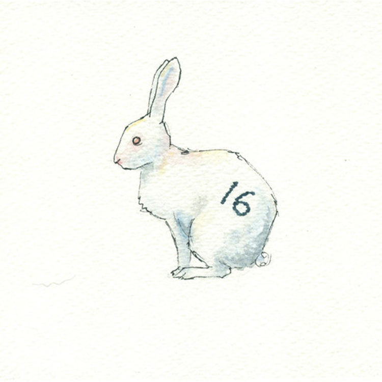 Dharma Rabbit #16 by Drew Falchetta