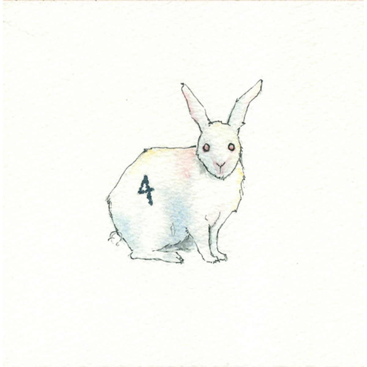 Dharma Rabbit #4