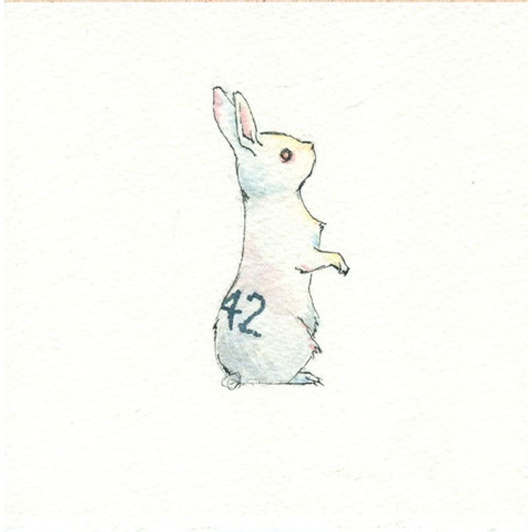 Dharma Rabbit #42 by Drew Falchetta