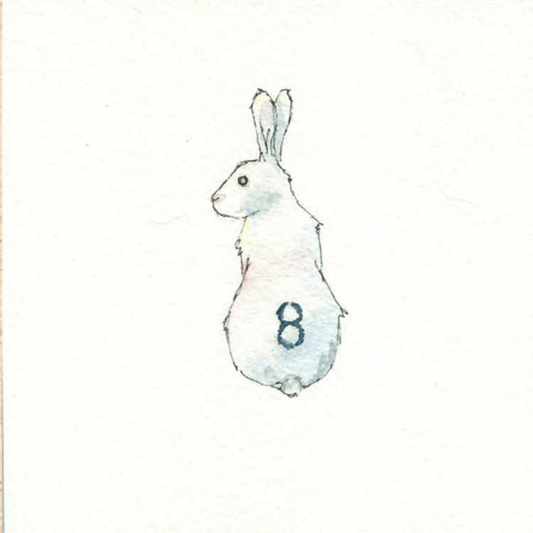 Dharma Rabbit #8 by Drew Falchetta