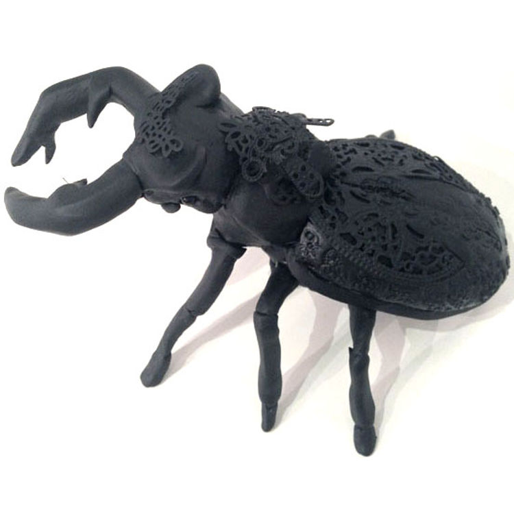 Beetle by JRYU