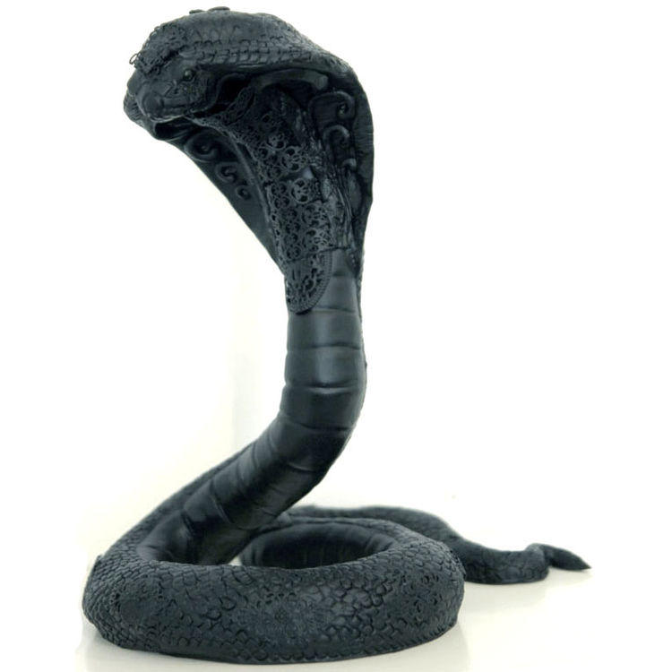 Snake by JRYU