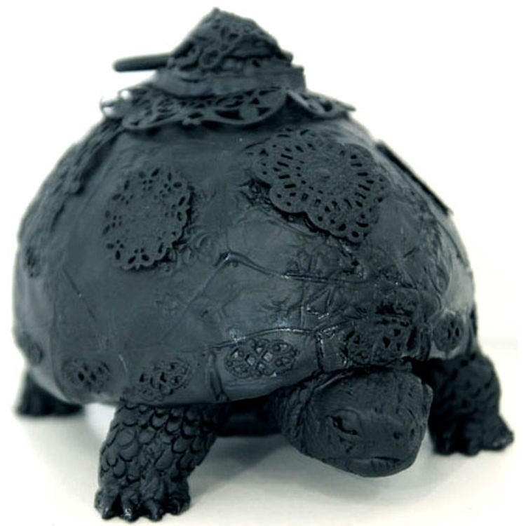 Turtle by JRYU