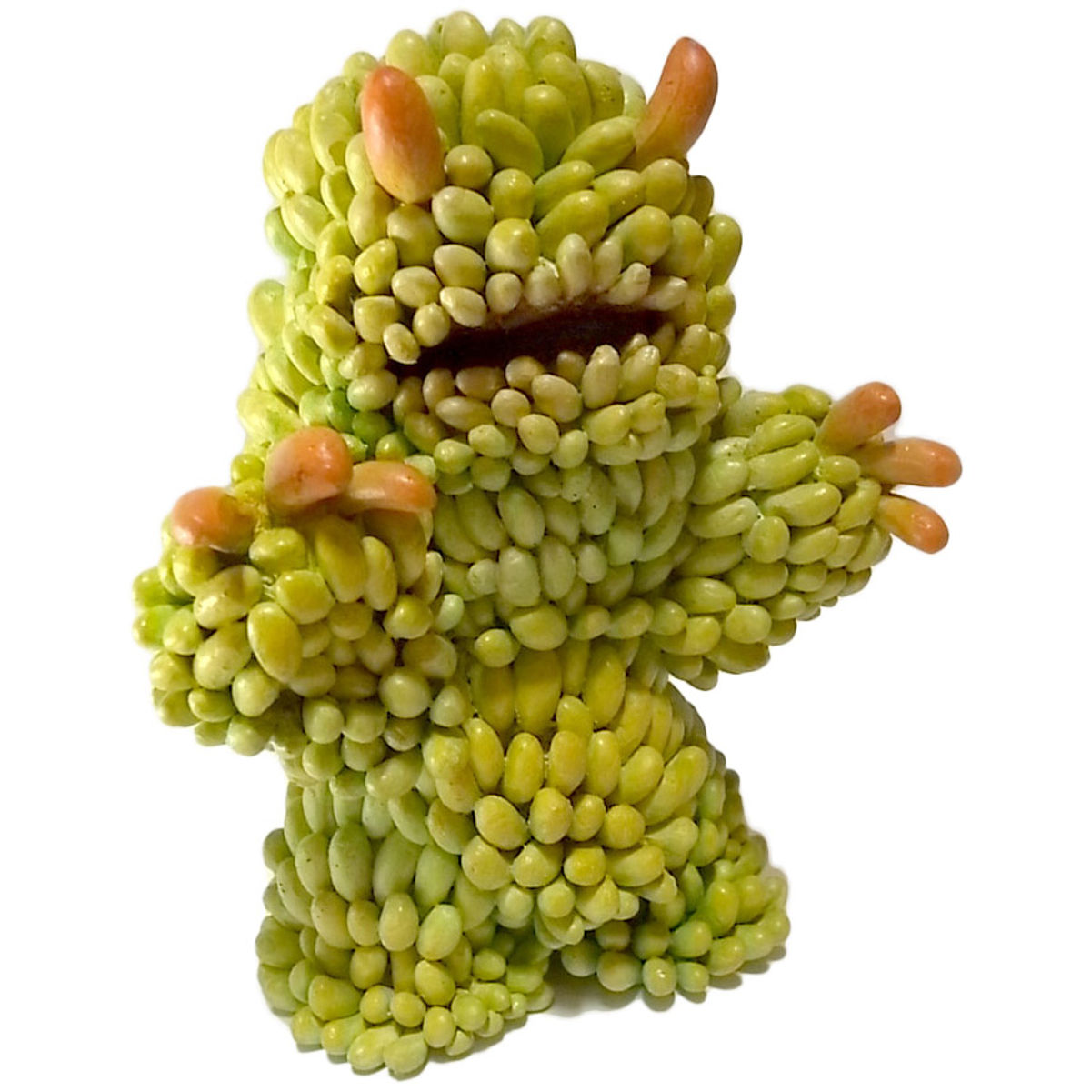 Sedums