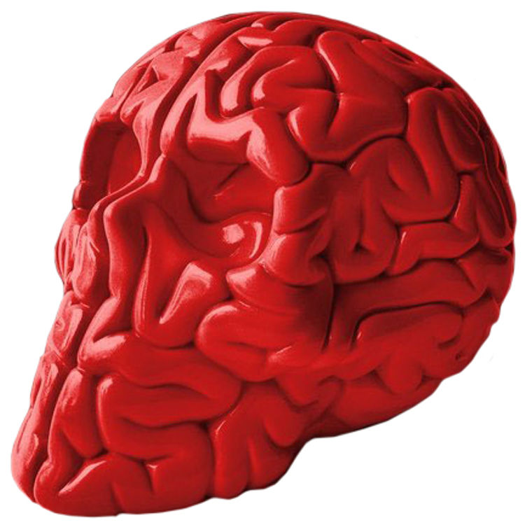 Skull Brain - Red by Emilio Garcia