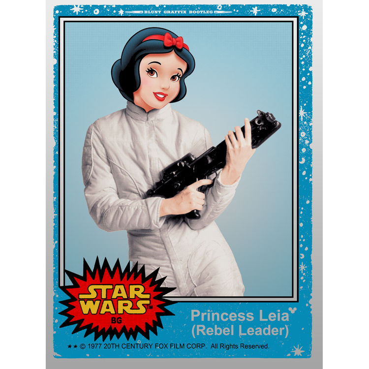 Princess Leia by Blunt Graffix (Matt Dye)