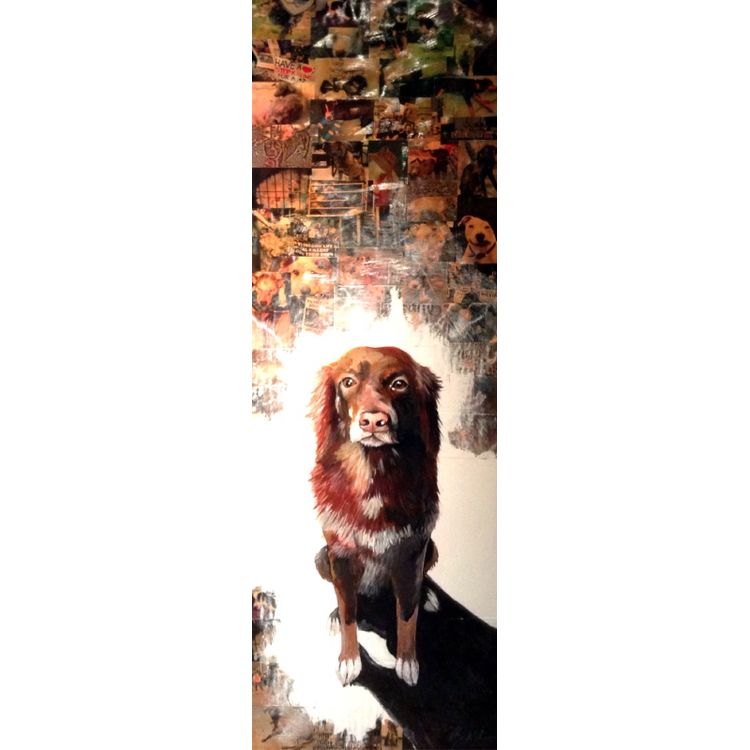 Shyloh by Brandon Schau
