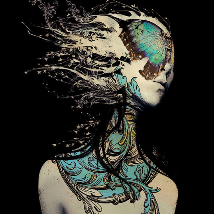 Echo by Leslie Ann O'Dell