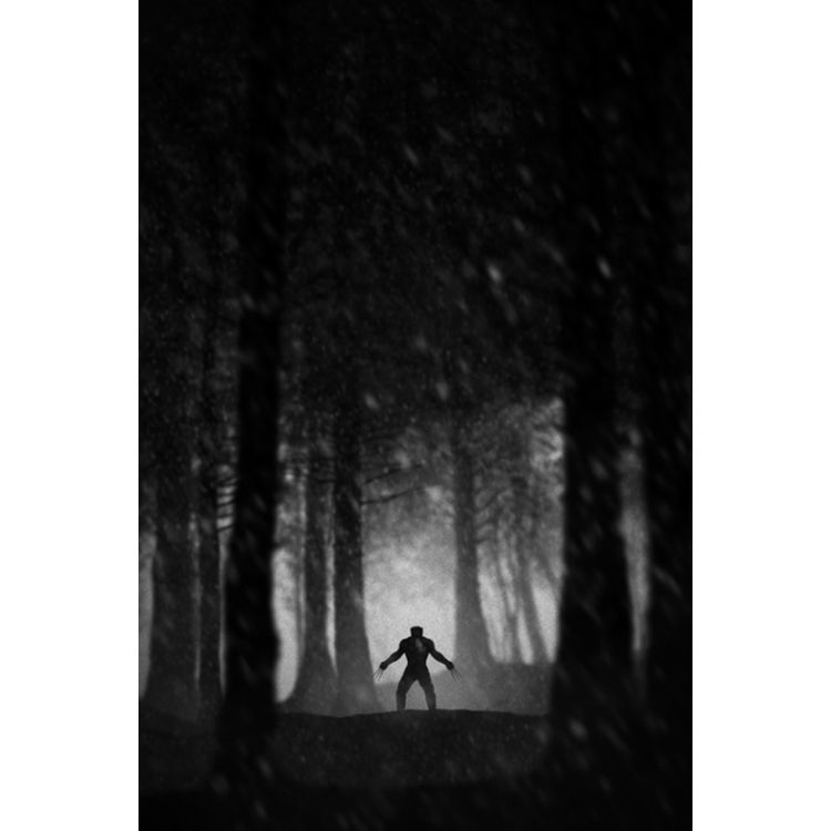 Wild Animal by Marko Manev